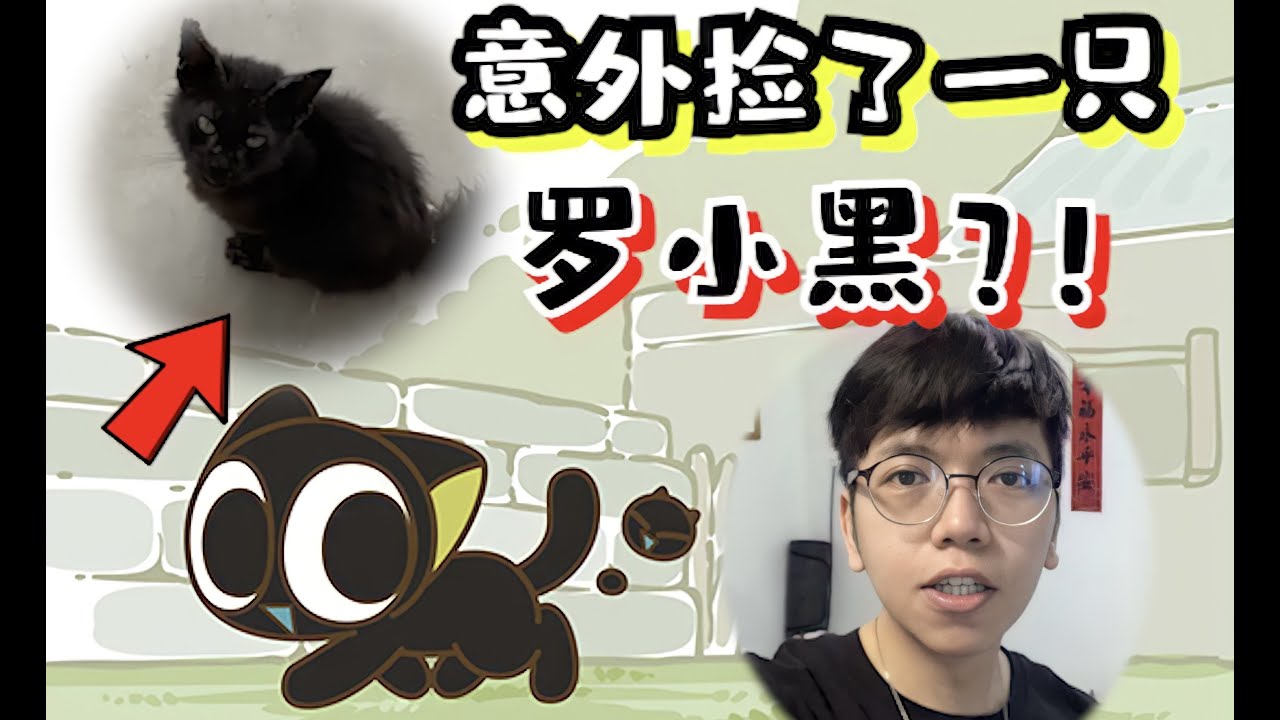 小可爱就這樣闖進了我的生活.....【小黑的到来】