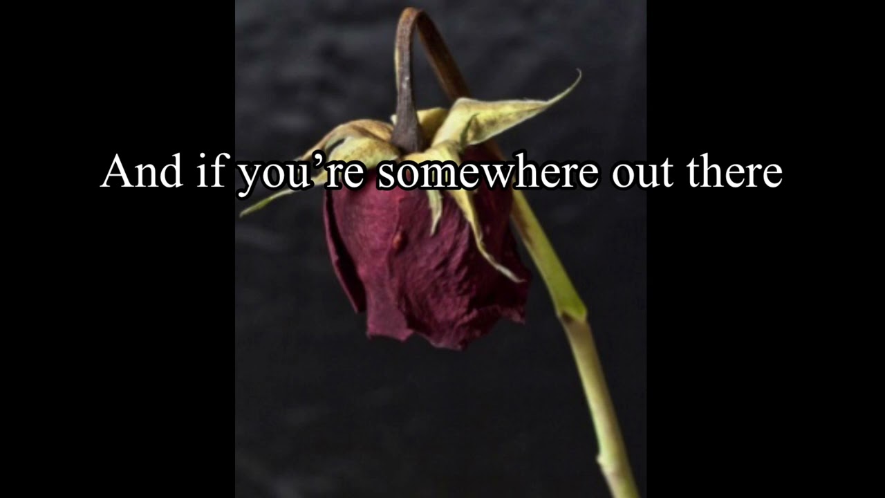 Joey -concrete blonde slowed reverb + lyrics