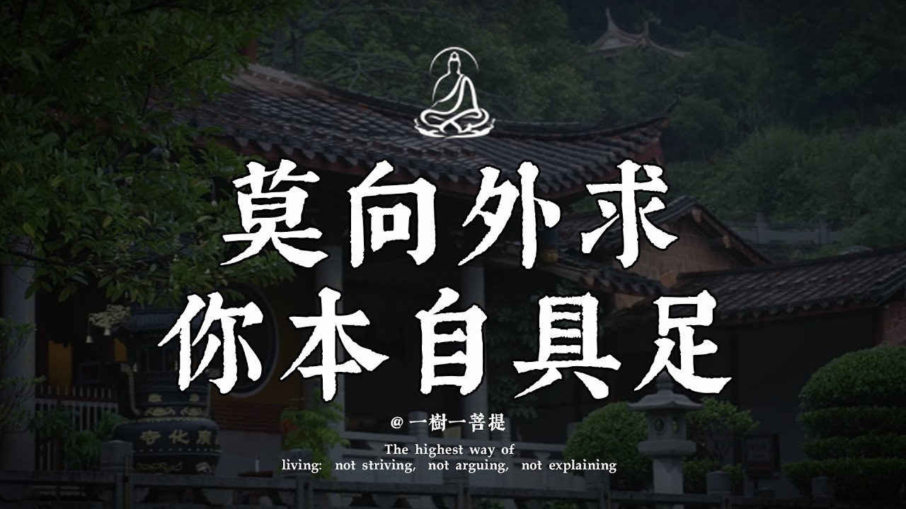 停止精神內耗！當你開始極致相信自己，神跡就會發生。|一樹一菩提 #覺醒 #禪悟人生 #人生感悟 #情感 #佛法 #正能量 #菩提解脫道 #心靈成長 #禅意生活 #人生感悟
