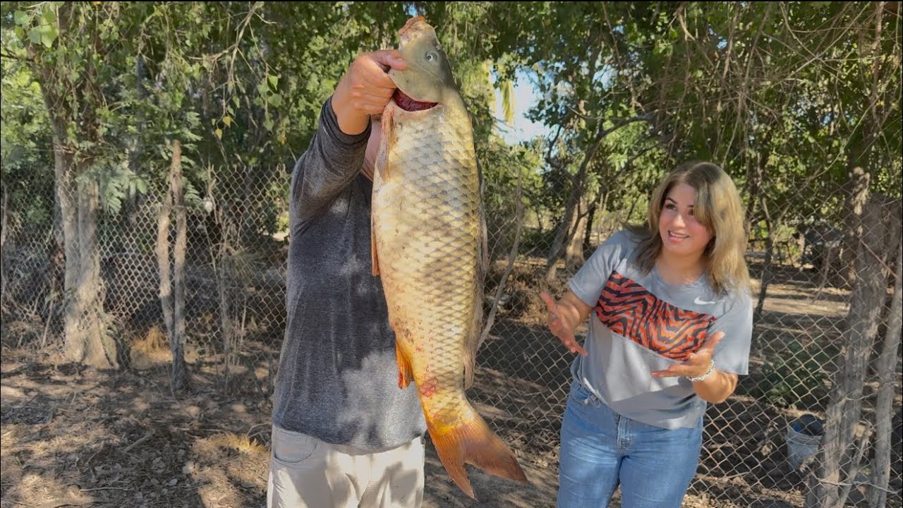 Nos fuimos a pescar y agarramos pescados gigantes 