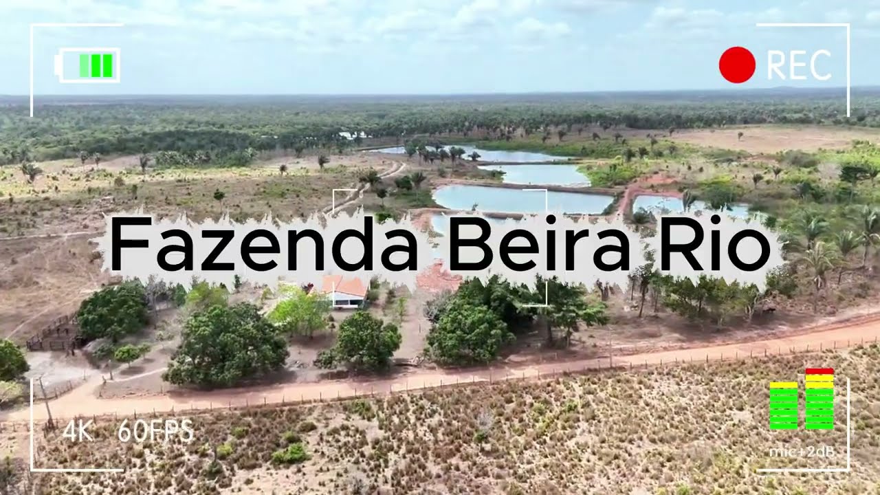 Fazenda Beira Rio em Governador Newton Bello-MA
