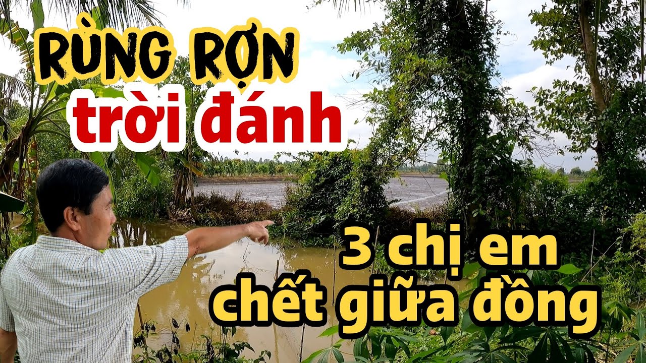 Nghe rợn người trời đ&aacute;nh nhiều lần khiến mất nhiều người v&agrave; c&acirc;y chết chảy m&aacute;u thật kỳ lạ