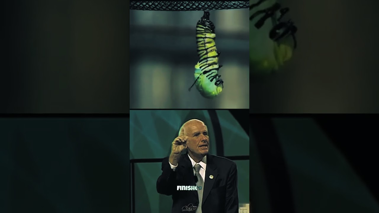 You Were Born to Fly, Not Crawl 🔥 Powerful lesson by Jim Rohn #jimrohnwisdom