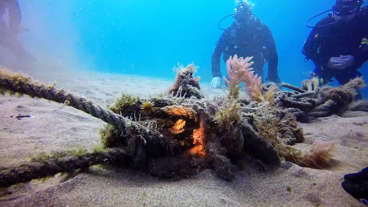 Scuba dive at Playa Chica, Puerto del Carmen, Lanzarote