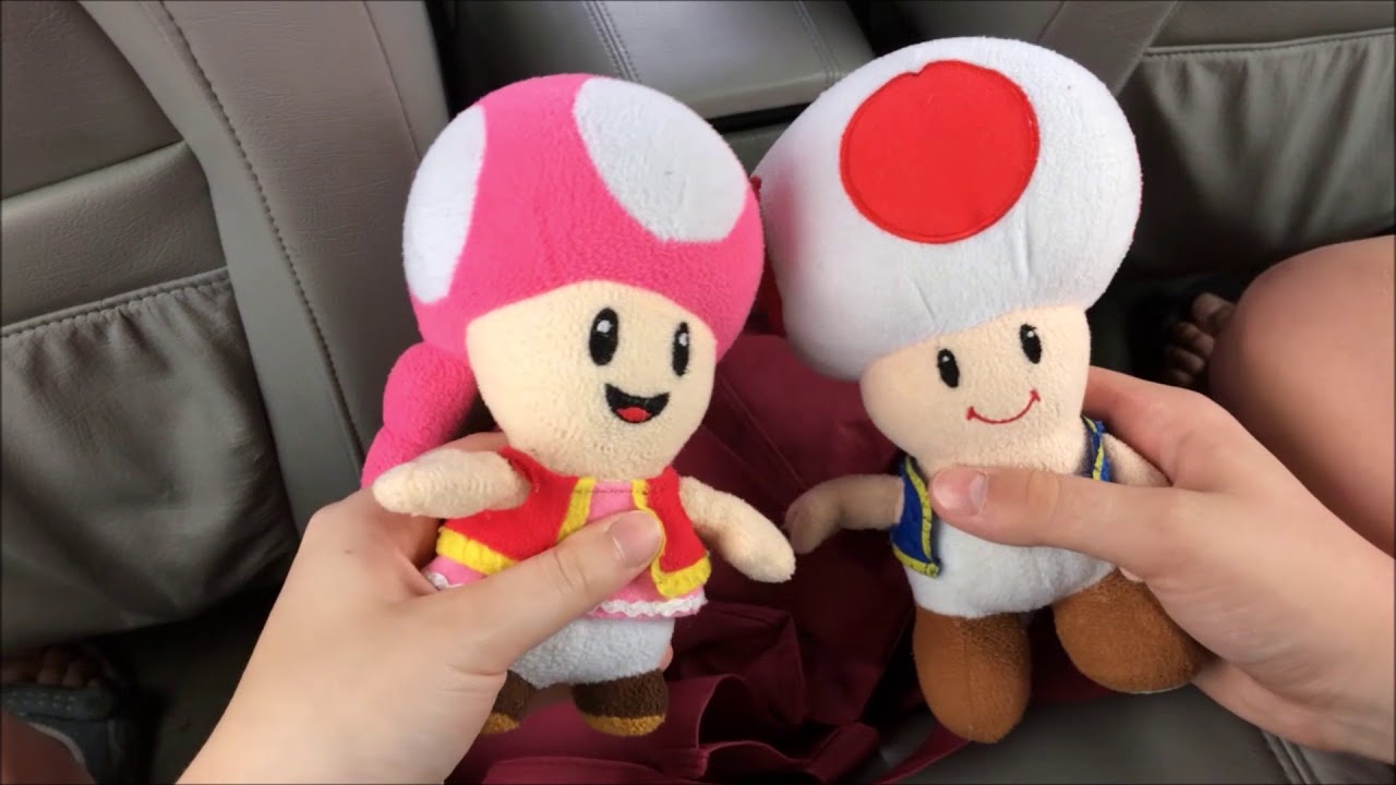 Toad and Toadette's Vacation Part 1