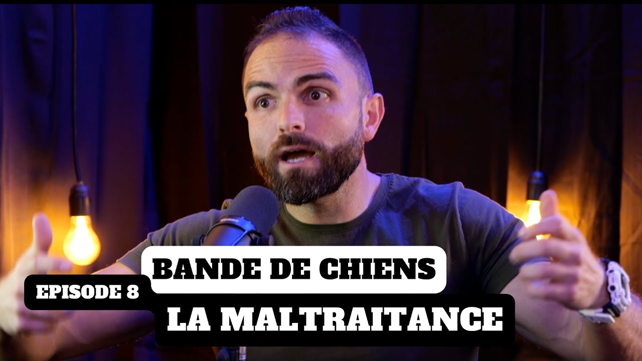 L'avis d'Esprit Dog sur la maltraitance des chiens : où commence-t-elle ? Ep8