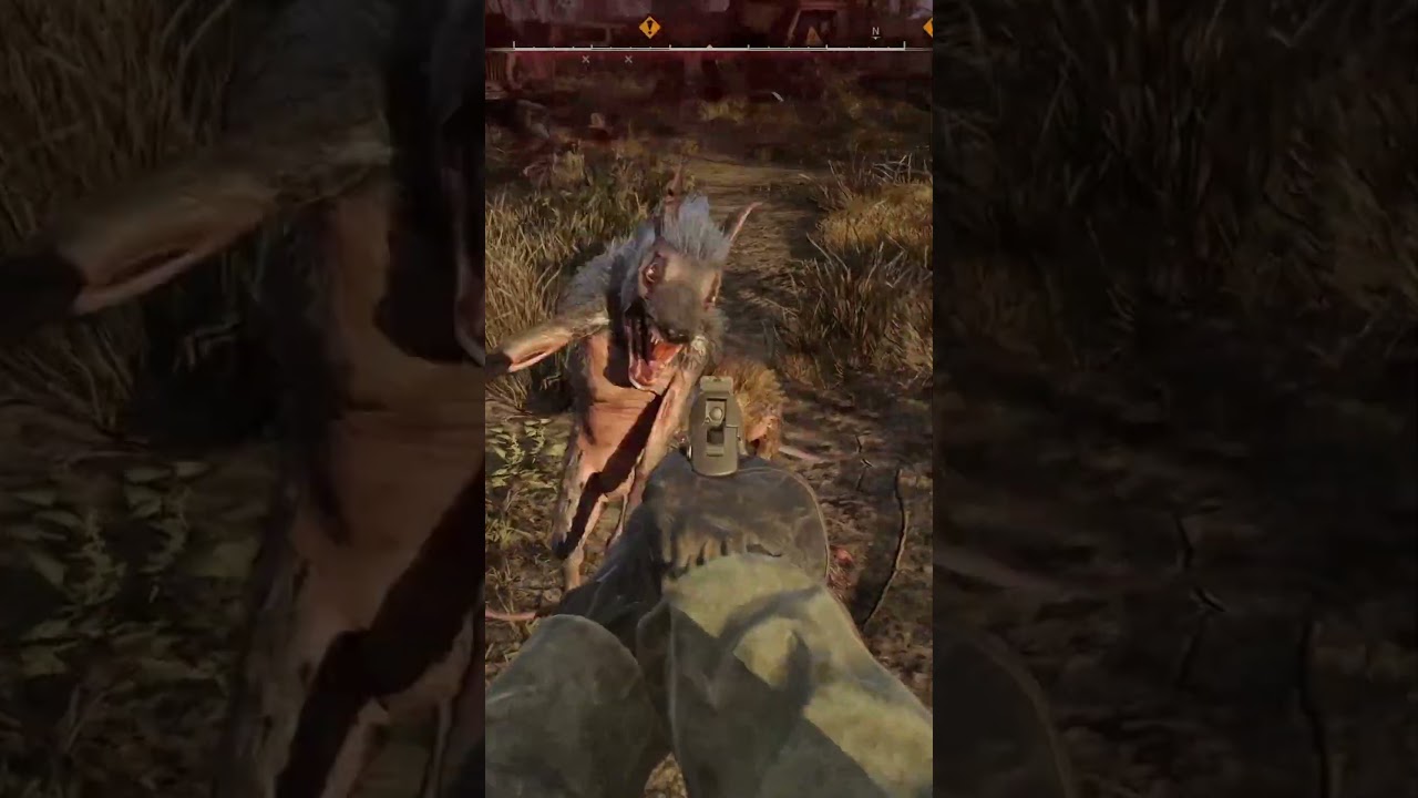 RATS! - S.T.A.L.K.E.R. 2 #gaming #letsplay #stalker2