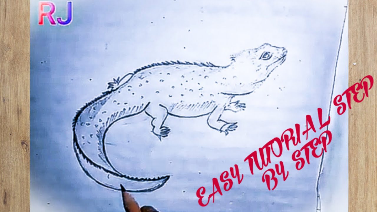 Tuatara||How to draw sphenodon punctatus||rhyncocephalia||living reptile fossil