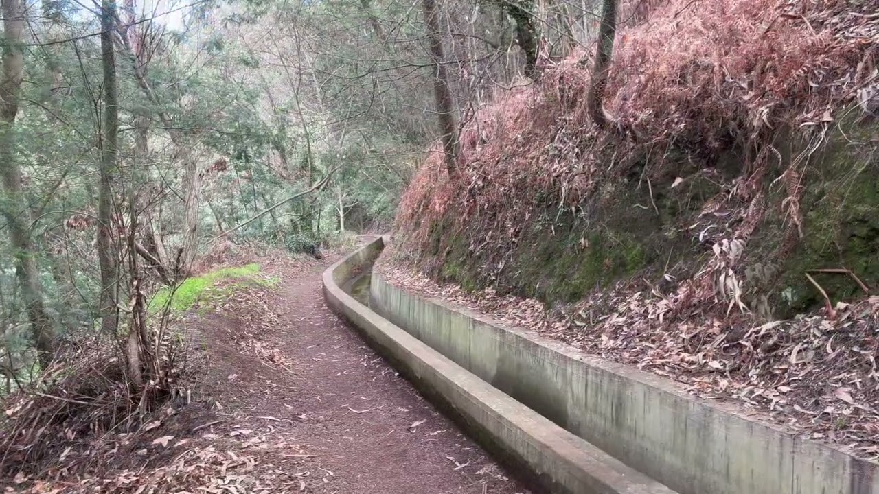 Parque de merendas Moledo dos Gatos, Sitio be Fernes
