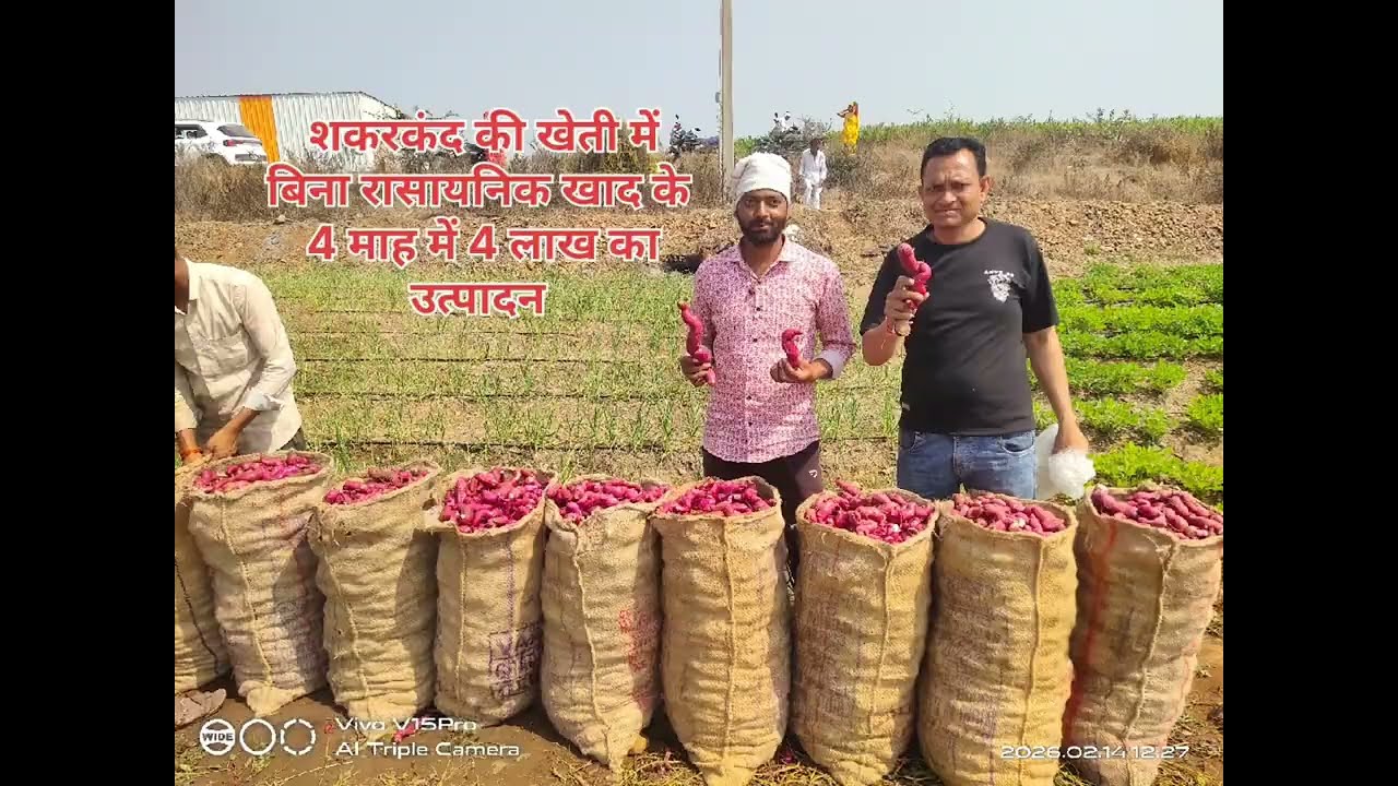 बिना यूरिया-DAP के कमाये 4 लाख रूपये