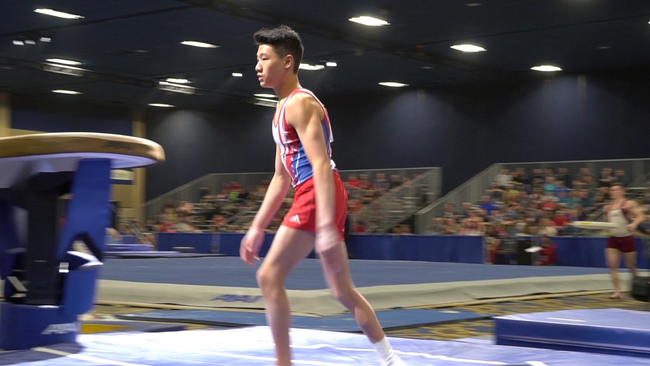 Travis Wong - Vault - 2017 Winter Cup Prelims