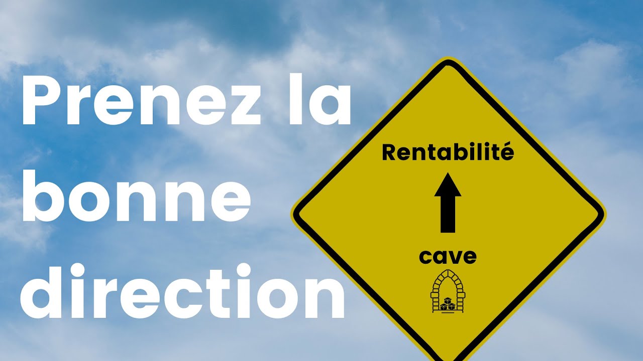 INVESTIR DANS UNE CAVE : d&eacute;couvrez POURQUOI INVESTIR et COMMENT s&rsquo;y prendre !