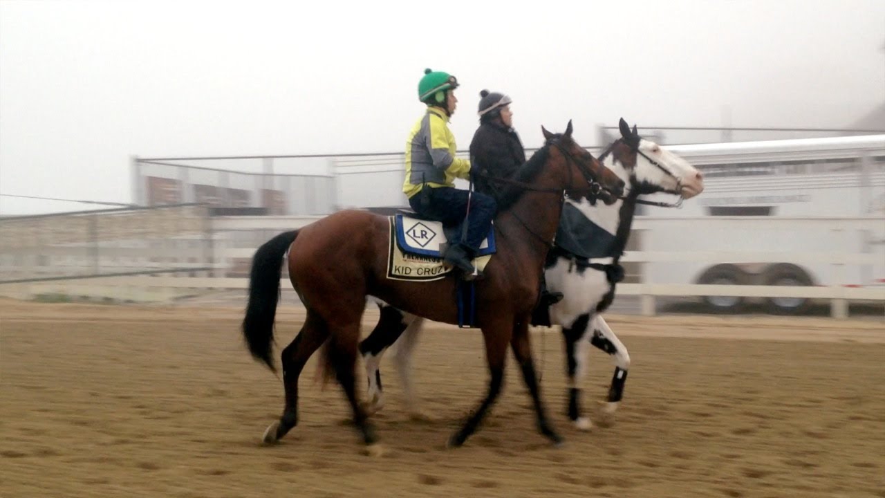 2014 Preakness Contender Kid Cruz