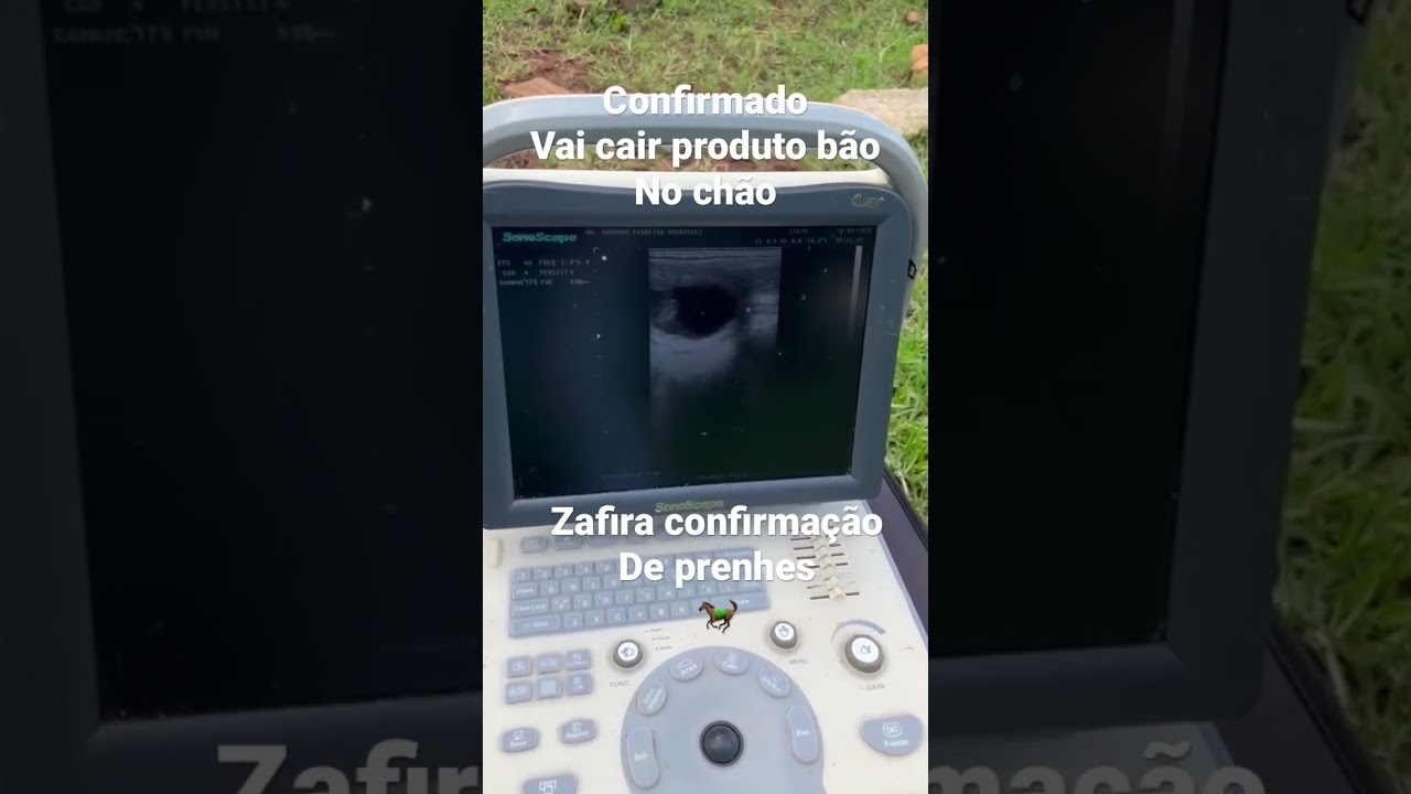 &Eacute;gua pegou prenhes de jumento pega - ultra-som