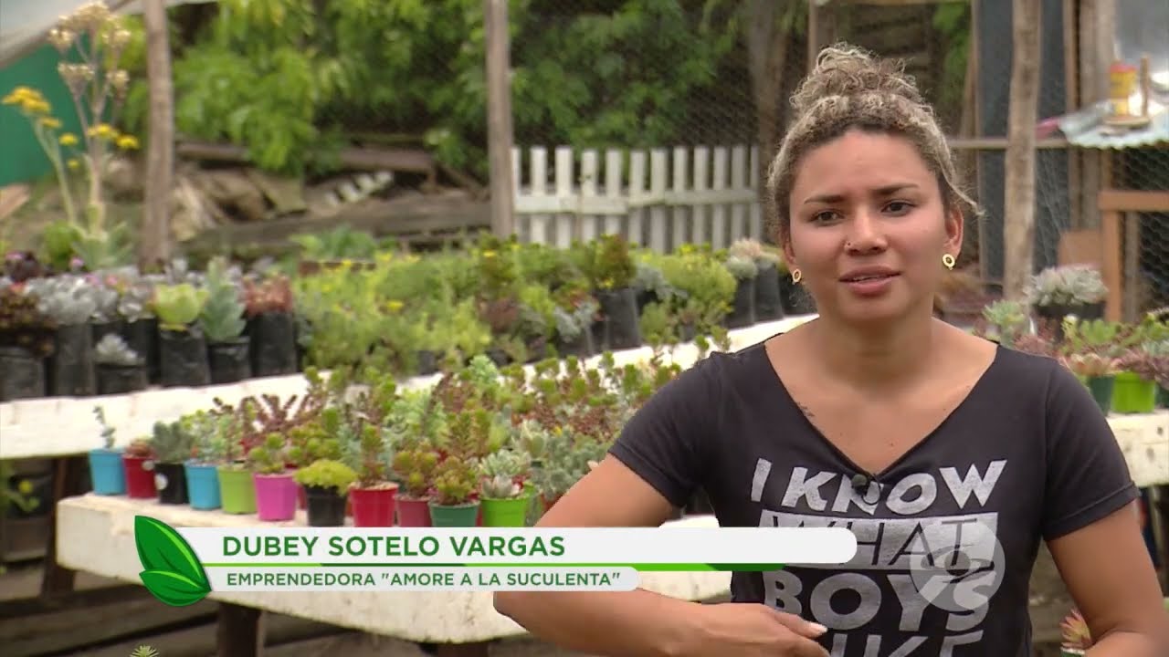 Rentabilidad del cultivo de suculentas