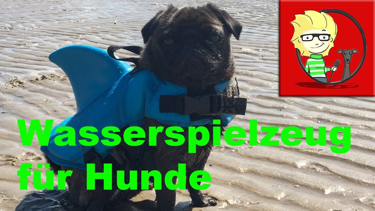 (FOLGE 17) Wasserspielzeug - witzige und tolle Sachen für Hunde