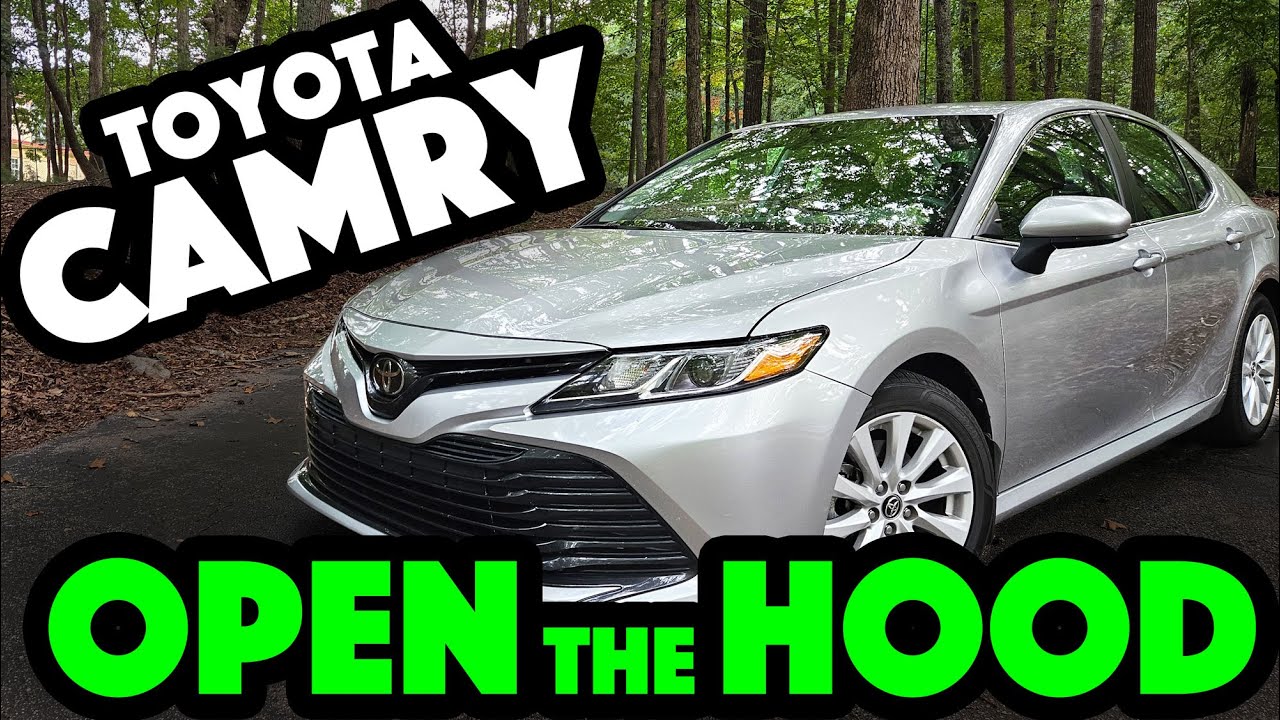 Toyota Camry: Open the Hood with the Hood Release Latch
