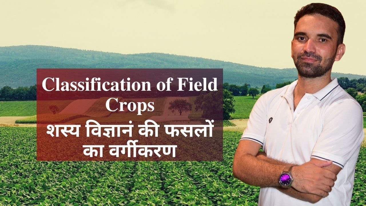 Classification of Field Crops/शस्य विज्ञानं की फसलों का वर्गीकरण