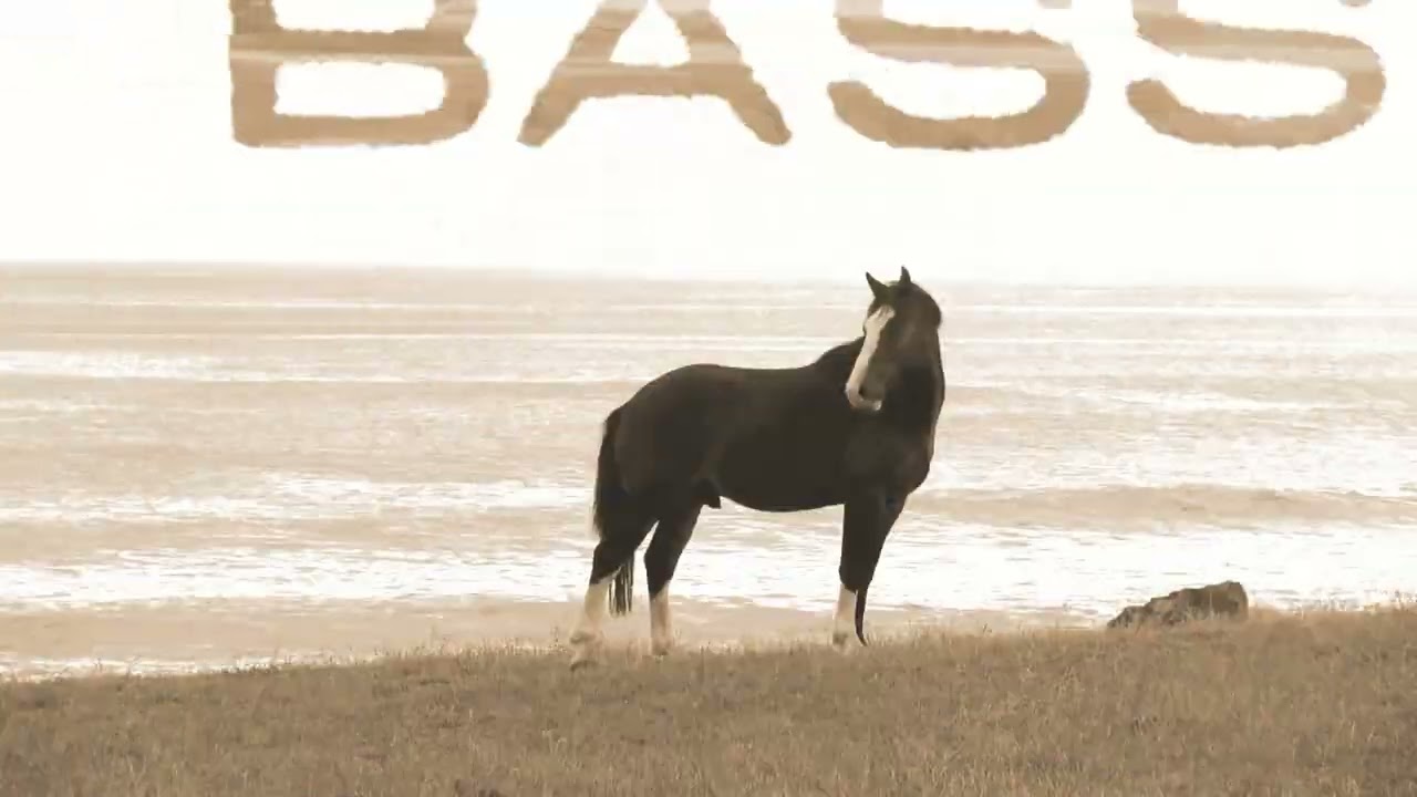 [Industrial Techno] T-Falcon - Ketamine [Radio Edit] (Official Music Video)