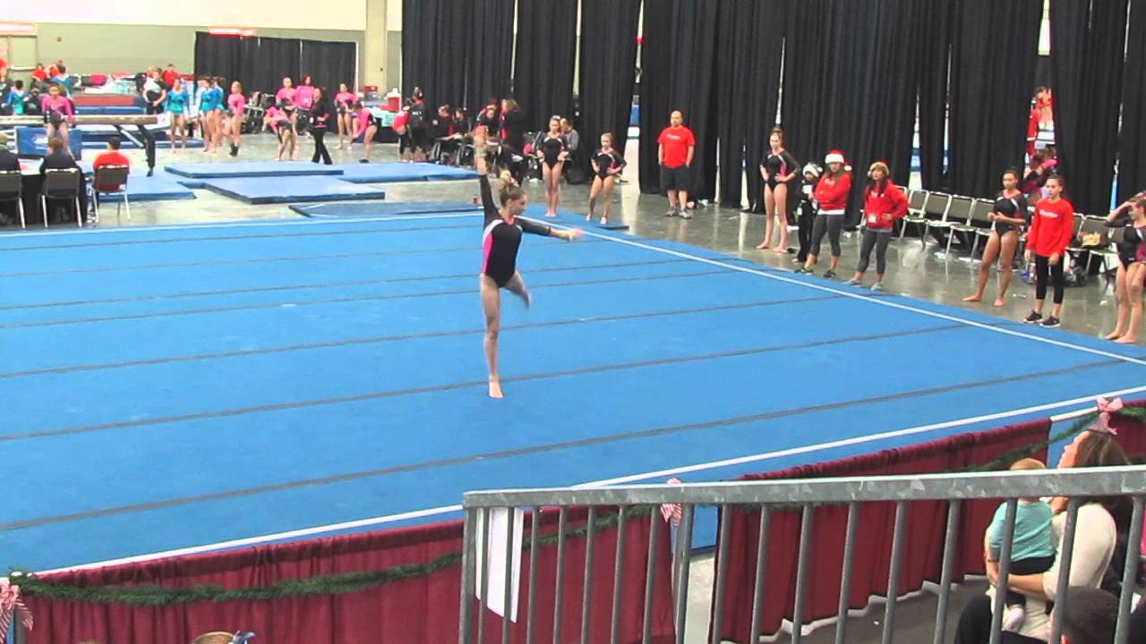 Abby Kaufman - Christmas on the Chesapeake 2015 - Floor