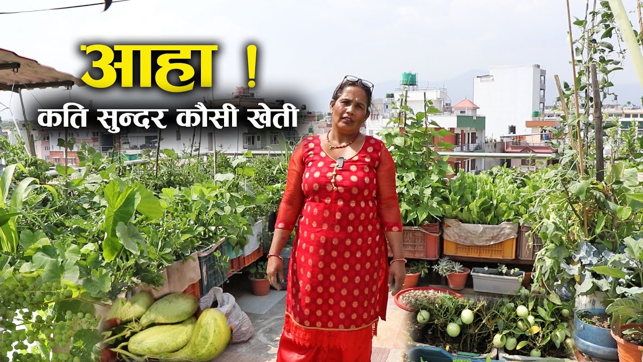 आहा ! कति सुन्दर कौसी खेती - Rooftop farming in Nepal