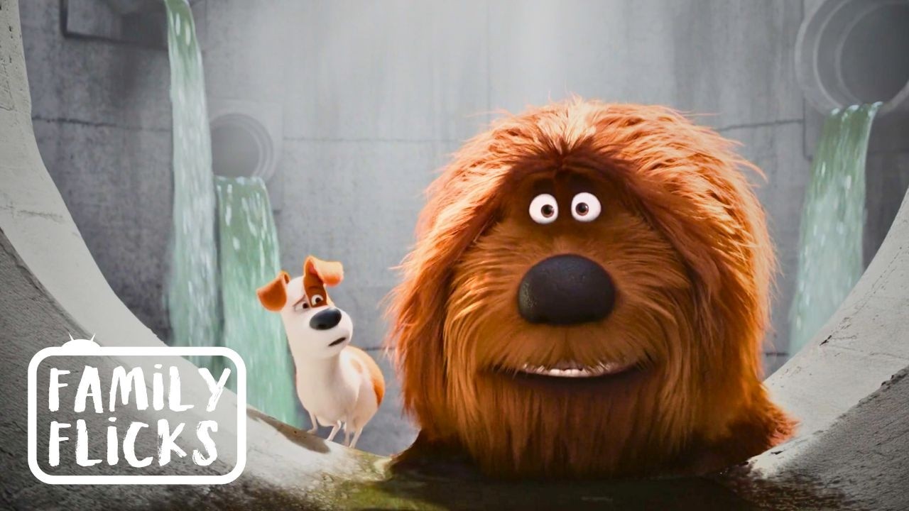 Max and Duke's Greatest Adventures | The Secret Life of Pets Movies | Family Flicks
