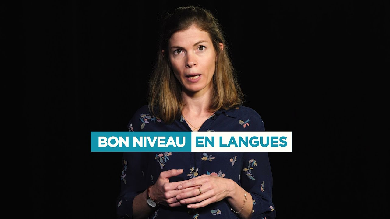 Pr&eacute;sentation de la Licence LLCER, parcours Trilangue | Facult&eacute; des Langues