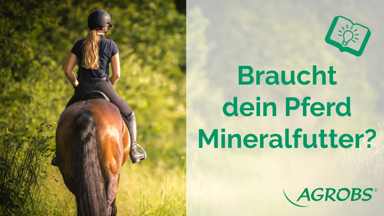 Mineralfutter für Pferde - Fütterungstipps von AGROBS