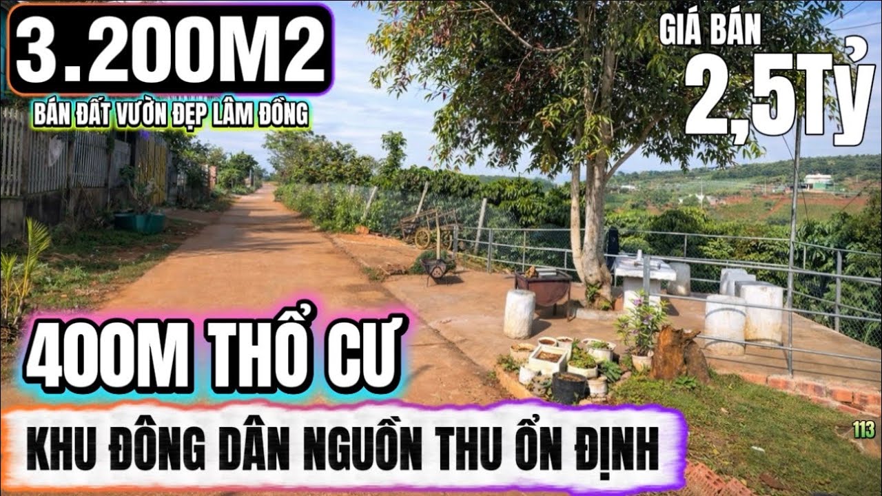 🔴Bán đất vườn đẹp lâm đồng hơn 3200m2 sẵn 400m thổ cư nguồn thu đẹp ổn định Lh 0379 590 939