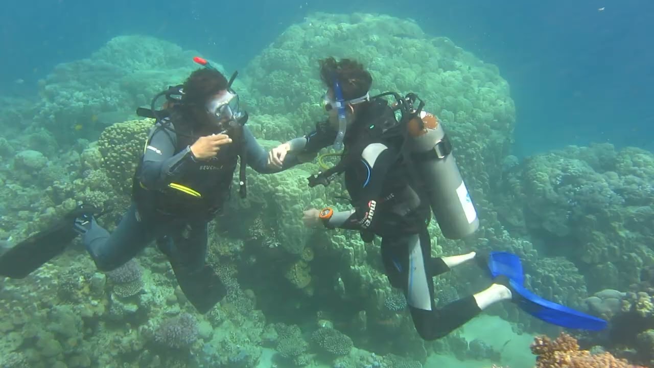 MVI 5887 new diver ib