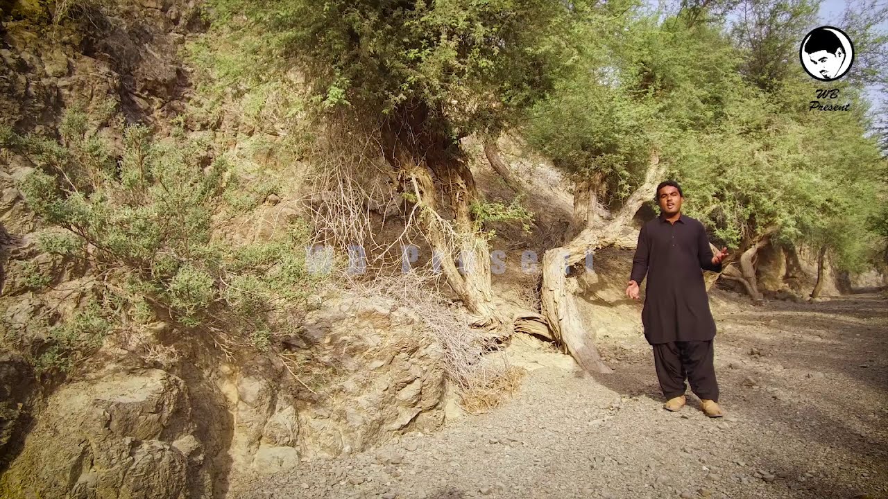 Wahab Baloch | Video Song | Tao Maro Door