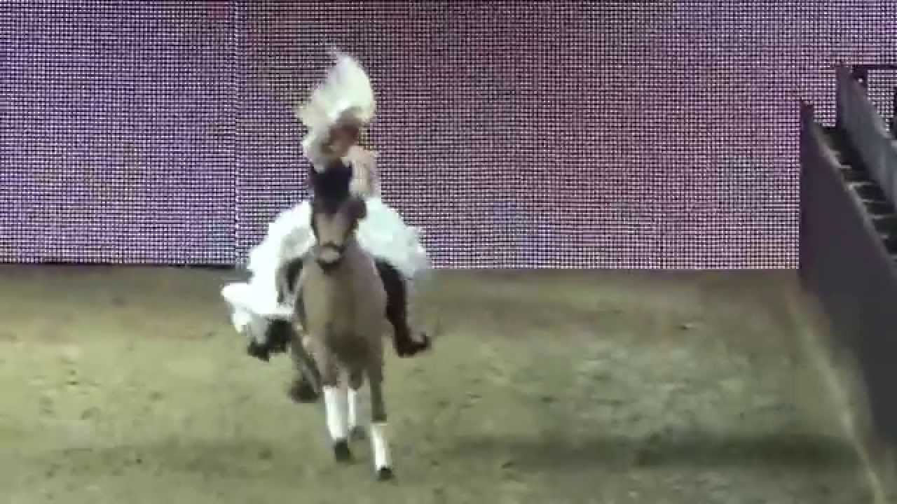 Golden Kids Cup-Equitana 2015
