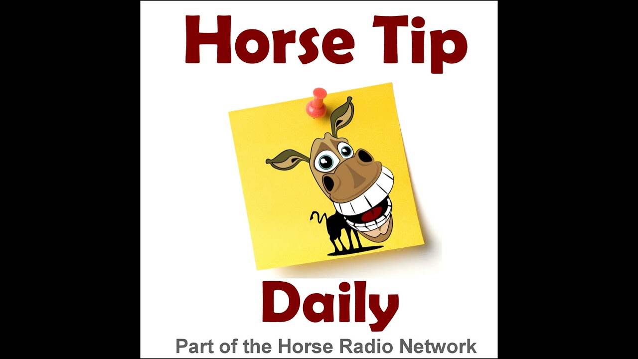 1626:  Horse Blanket Woes