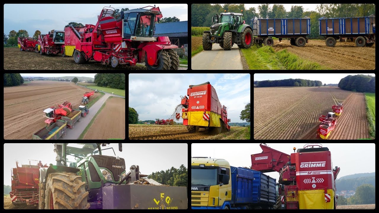 Kartoffelernte 2017 XXL | 3x Grimme SF/SE 150-60 | 11x Fendt | 2x Lkw