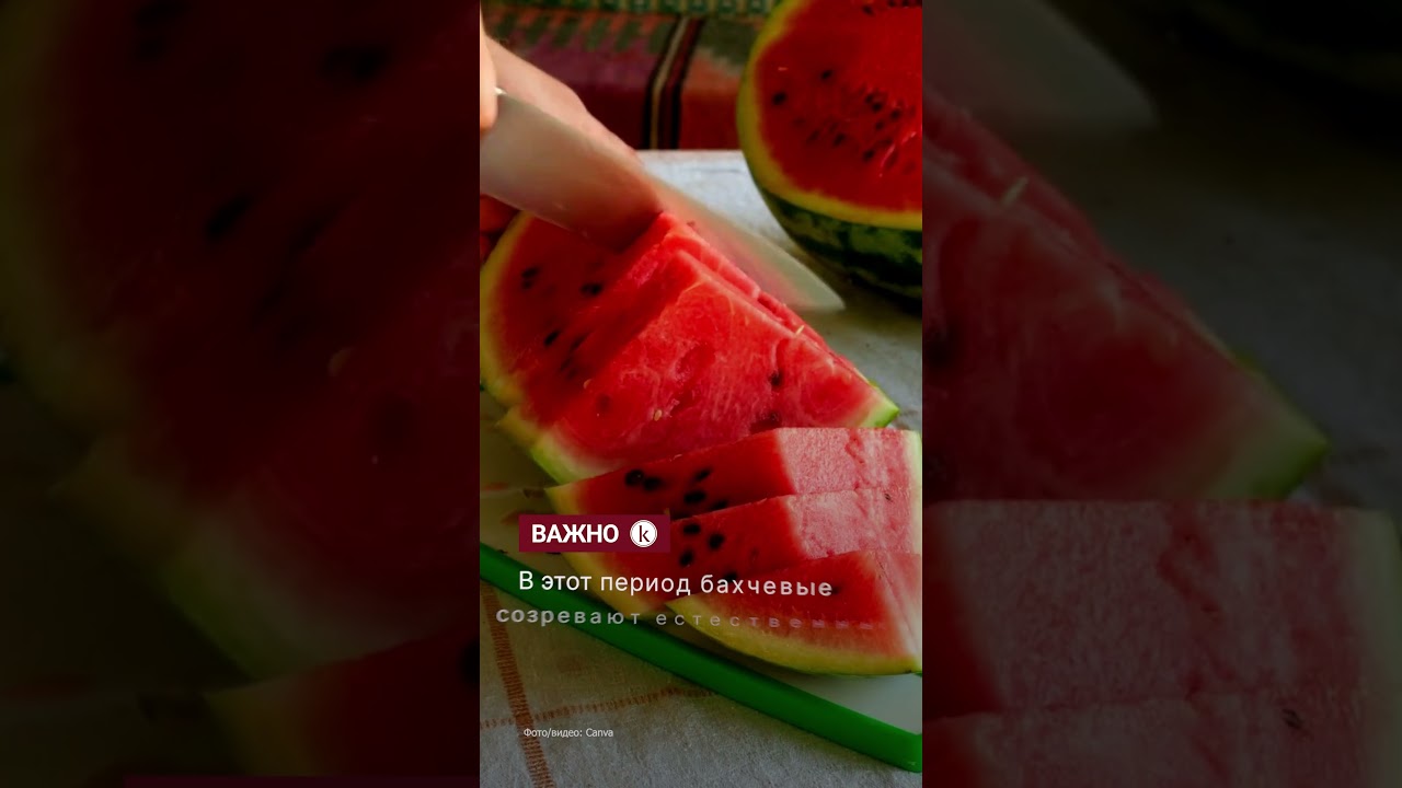 Kazakhstan's Ministry of Agriculture Recommends Buying Watermelons Starting in Late July