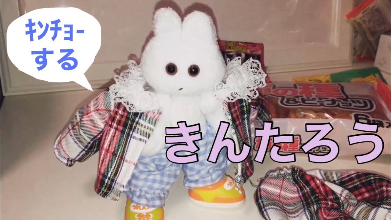 生活まとめ12 【きんたろう、ｷﾝﾁｮする】