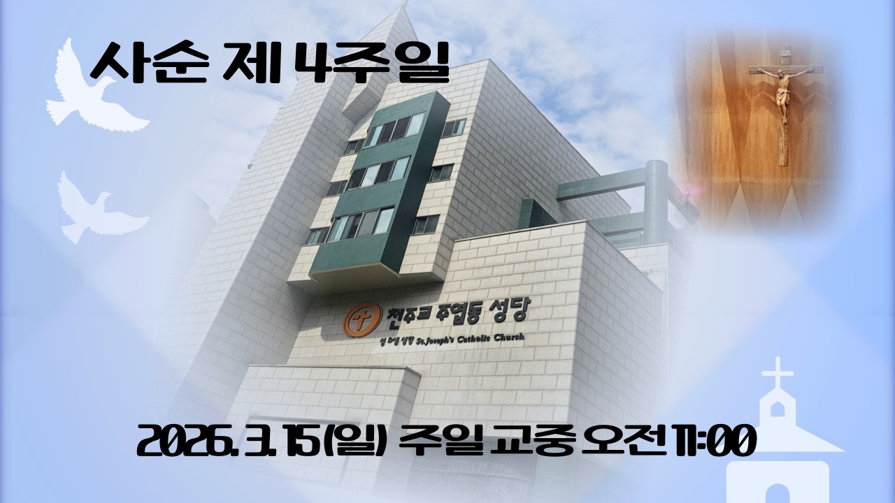 2026년 3월 15일(일) 오전 11시 