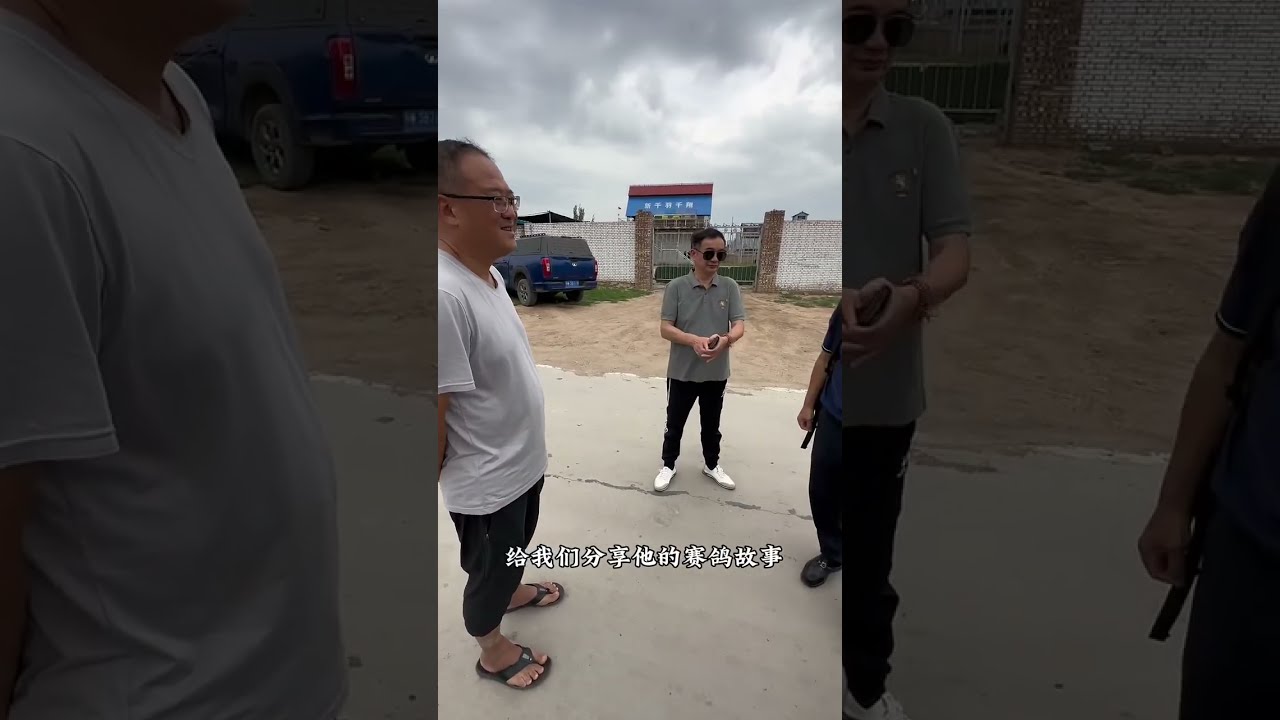 【赛鸽风云】連續四年在蜀翔飛出多次單關夢幻1.2.3.4.5…每年前十綜合鴿王多羽🐯 #職業賽鴿 #chinasaige #賽鴿