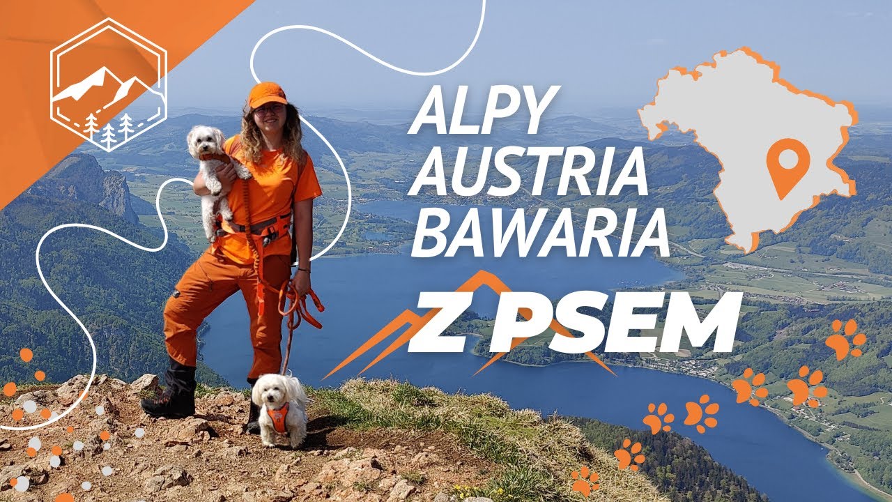 PIESKI NA SZLAKU - Alpy, Austria i Bawaria na 4 łapach