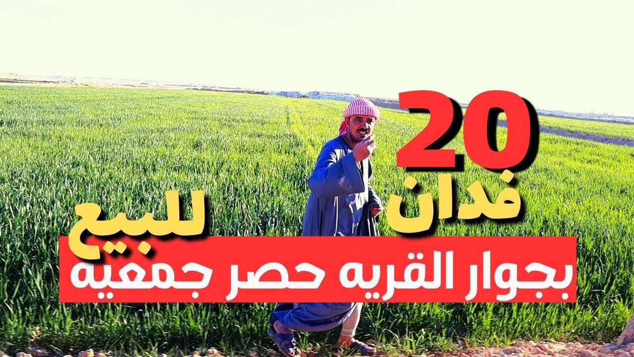 عرض ما يتفوتش 20 فدان ارض زراعية للبيع مزروعين قمح بجوار القرية