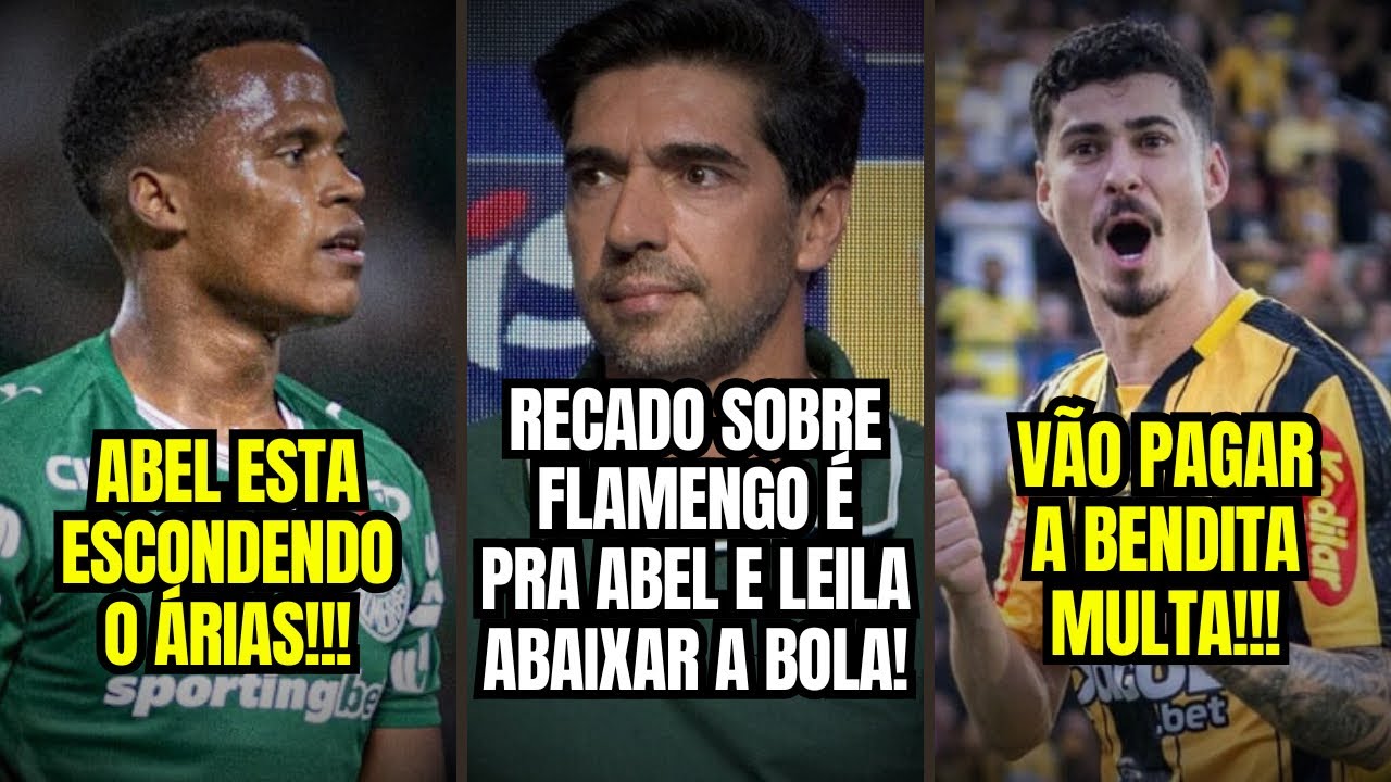 FORTE DECLARAÇÃO sobre Palmeiras FREGUÊS do Flamengo REVOLTA torcida! Novorizontino vai PAGAR MULTA!