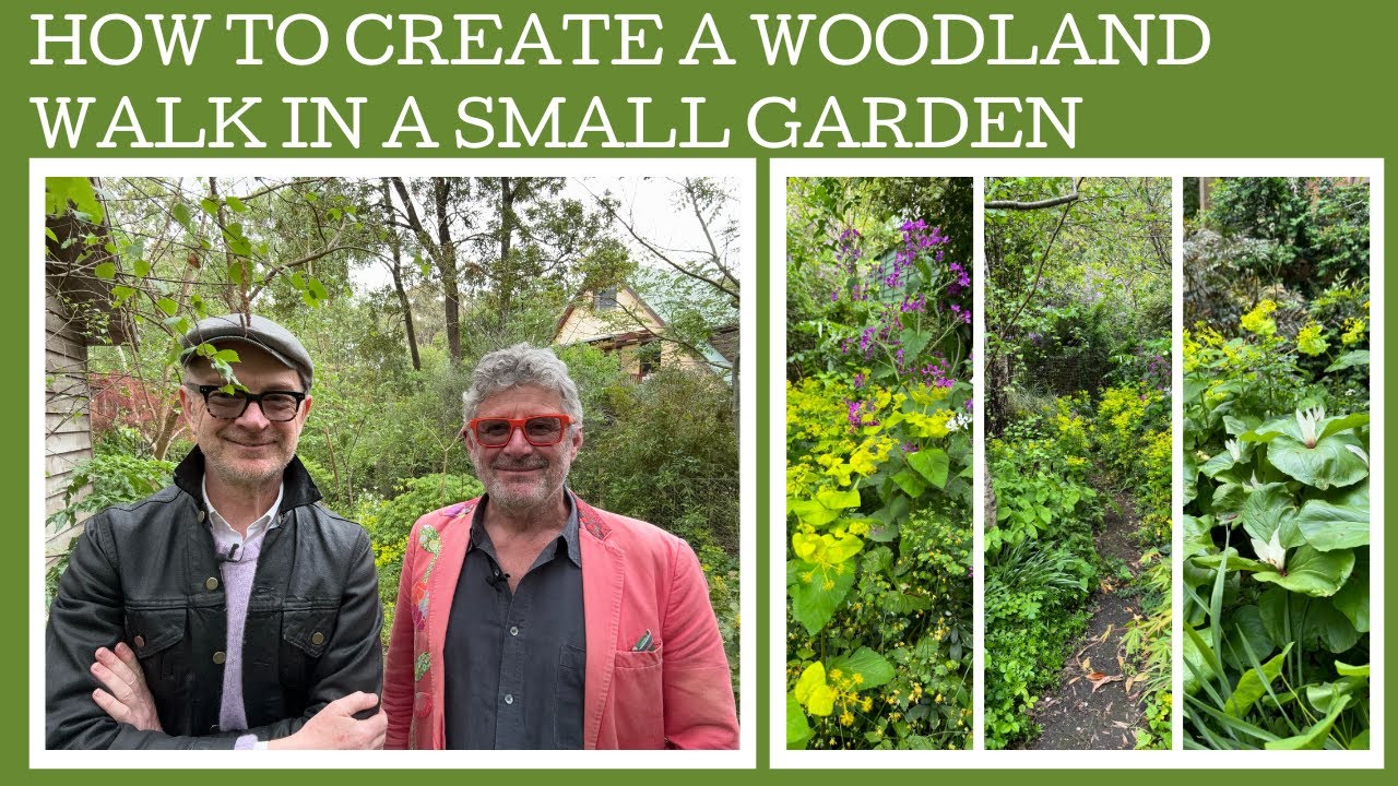 How to create a woodland walk in a small garden!