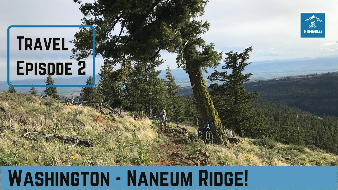 Naneum Mountain Biking - Naneum Ridge Connector 1 Mountain Bike Trail