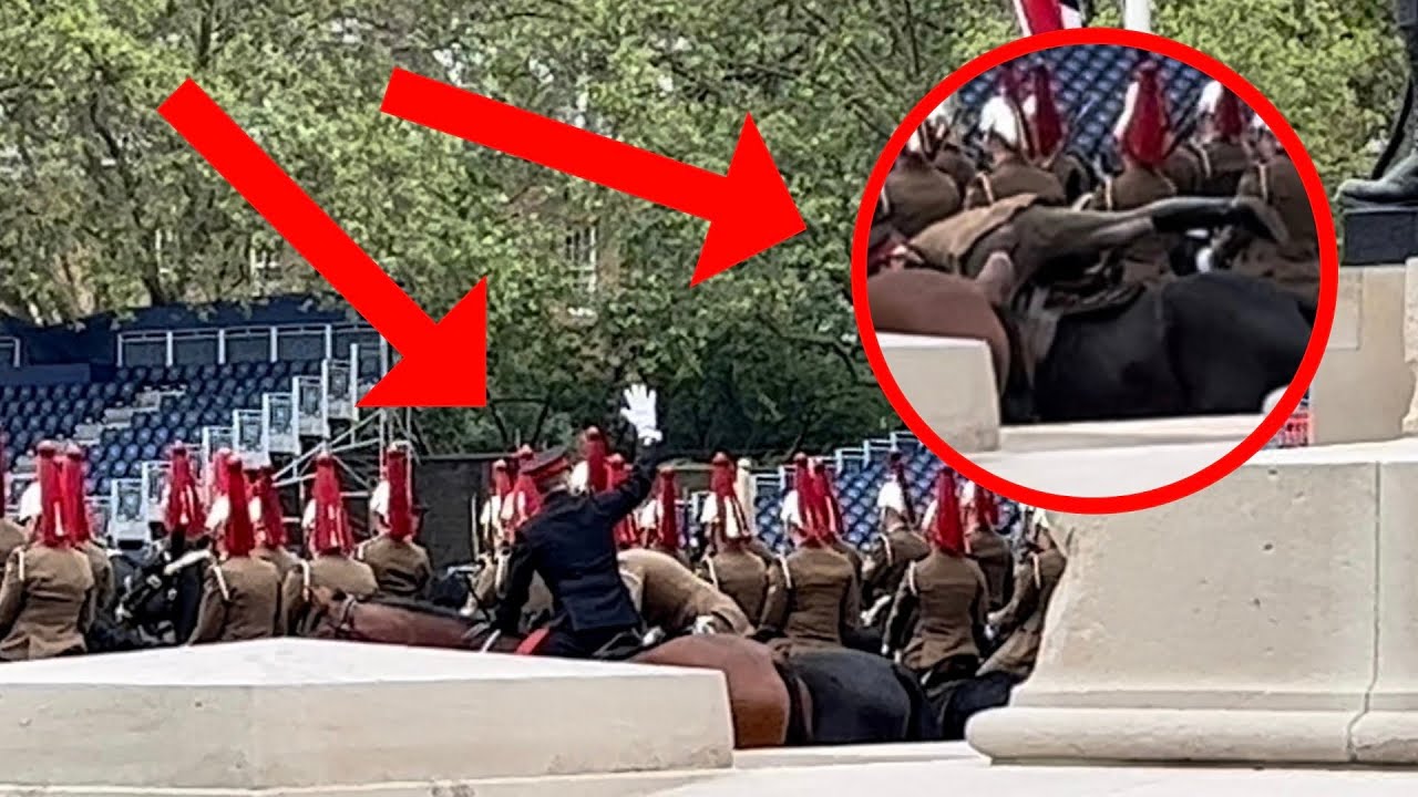 King’s Guard About To Faint On Horse And Needs Help