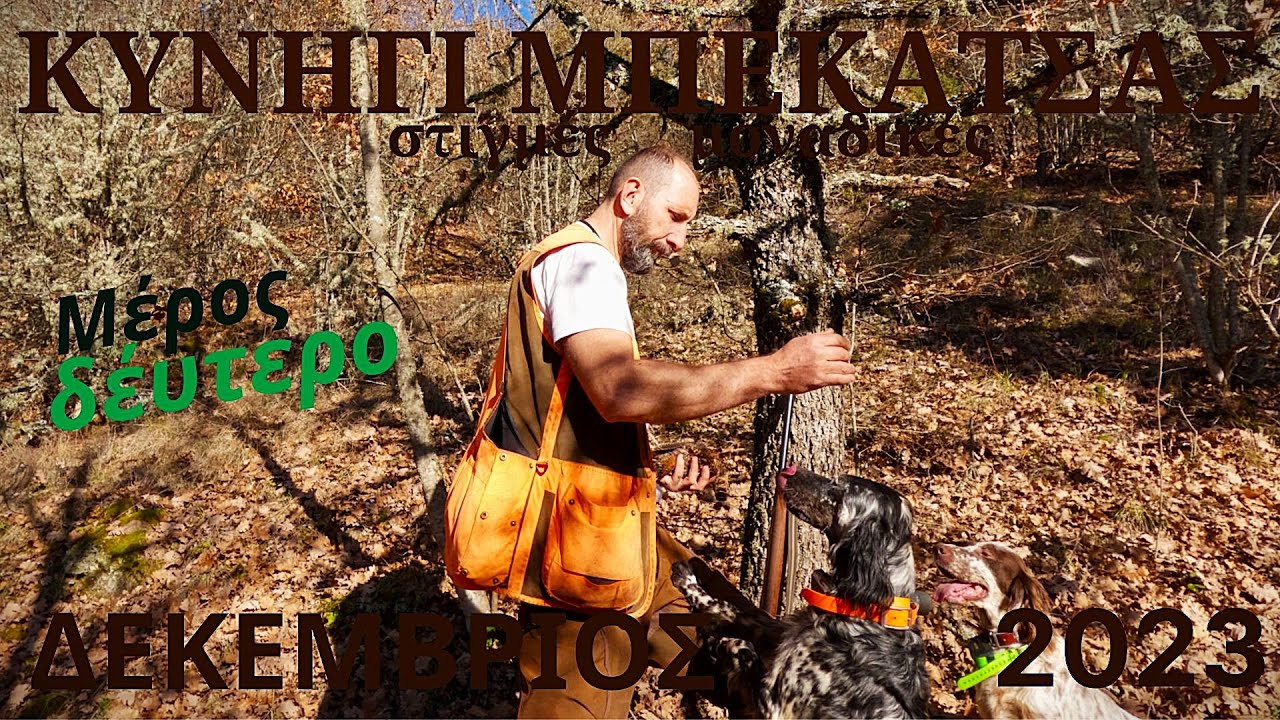 ΚΥΝΗΓΙ ΜΠΕΚΑΤΣΑΣ στιγμές μοναδικές ΔΕΚΕΒ23Β-WOODCOCK HUNTING-CACCIA alla BECCACCIA-BECADA-ÇULLUK AVI