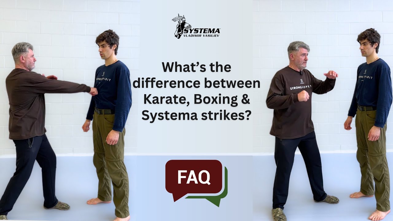 What&rsquo;s the difference between Karate, Boxing and Systema strikes?