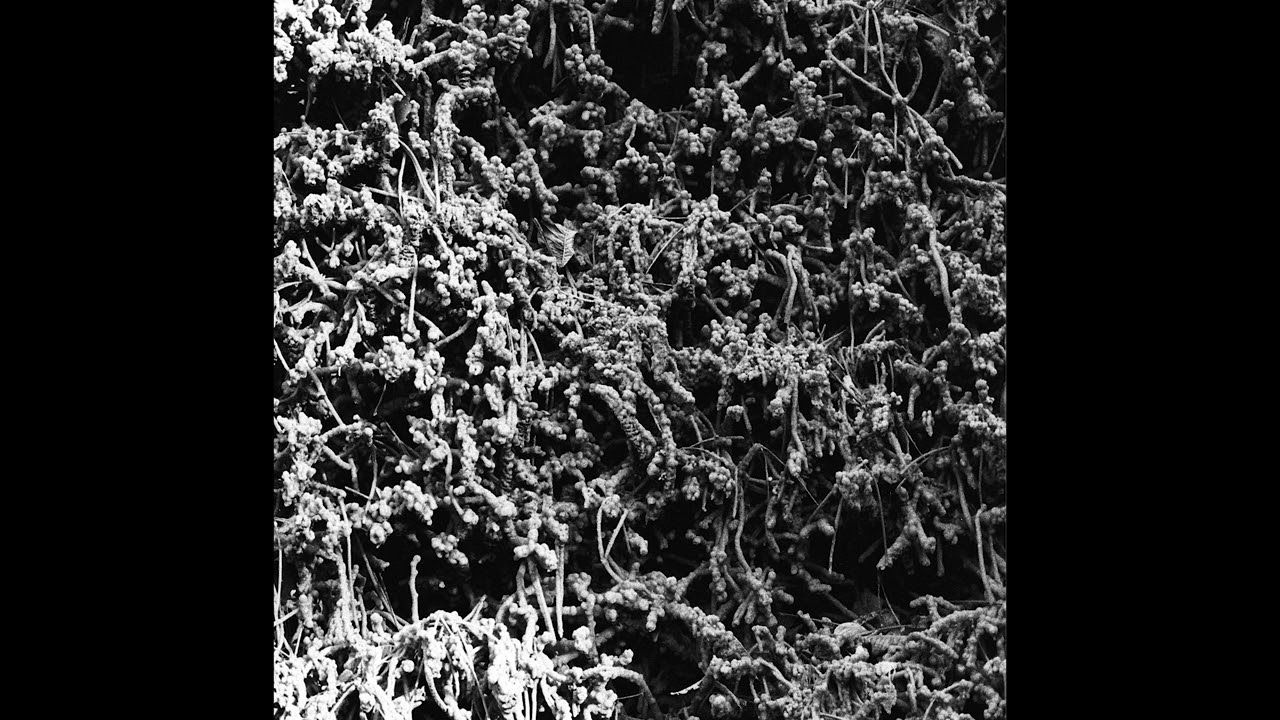 NECROPOLISSEBEHT - Chamber of Chains (taken from the album "Taurunovem - Th’Astraktyan Serfdome")