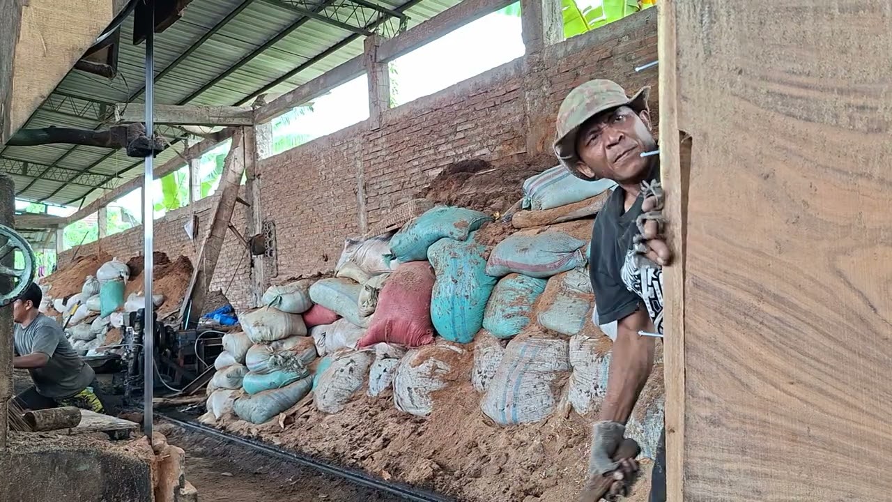 Large pieces of wood from Sumatra! Shipped to Jepara to be made into wood slabs. 