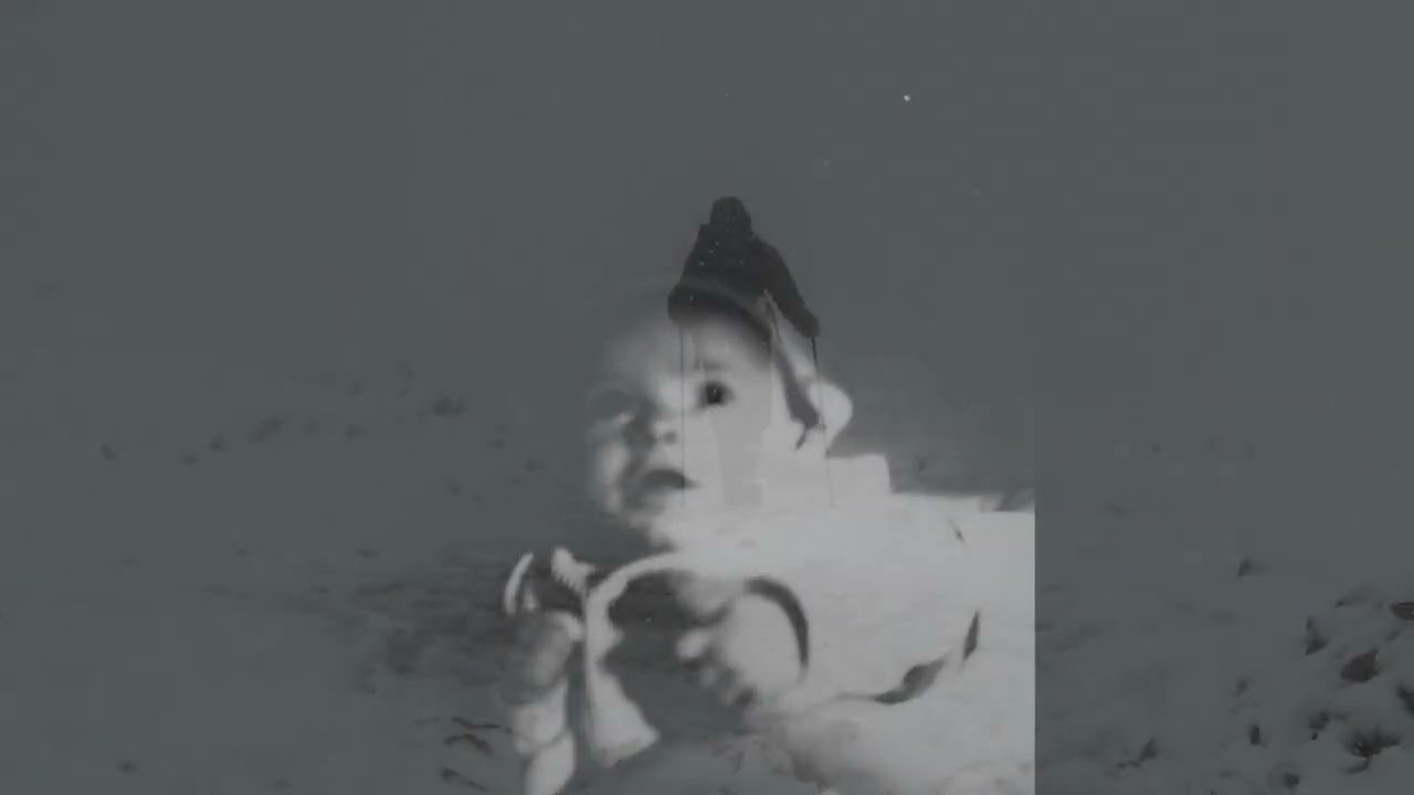 Jan-Christoph Hauschild: The Day I Go