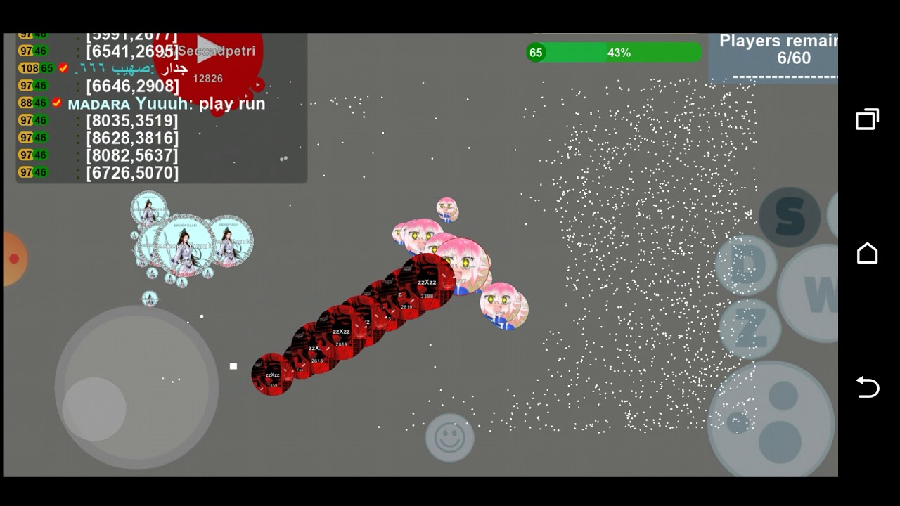 PETRI DISH - GAME PLAY -